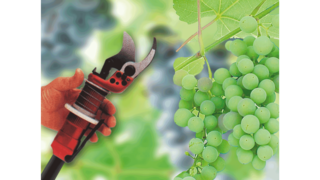 ワイン醸造業向けのケーザー社産業用レシプロコンプレッサー